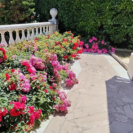 La Villa des Ames Liées-2